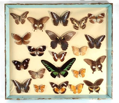 Lot 2270 - Entomology: A Collection of Cased Asian Butterflies, circa 1960-1970, a collection of...