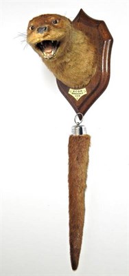 Lot 2273 - Taxidermy: A Eurasian Otter Mask and Tail Rudder (Lutra lutra), circa 03/08/1935, an adult...