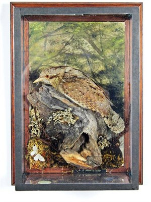 Lot 2283 - Taxidermy: A Wall Cased Wryneck (Jynx torquilla), circa 1979, by A.J. Armitstead, Darlington,...