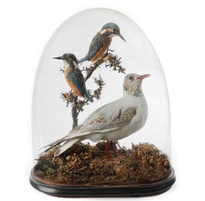 Lot 2286 - Taxidermy: A Late Victorian Diorama of Birds, circa 1880-1900, a diorama of various birds to...