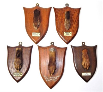 Lot 2289 - Taxidermy: A Collection of Red Fox Pads on Shields, by Peter Spicer & Sons, Taxidermists,...