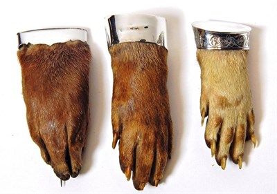 Lot 2296 - Taxidermy: Antique Eurasian Otter Paws (Lutra lutra), circa early 20th century, three various sized