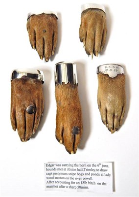 Lot 2316 - Taxidermy: Antique Eurasian Otter Paws (Lutra lutra), circa early 20th century, five various...