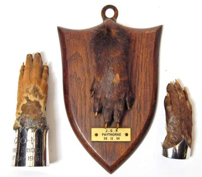 Lot 2330 - Taxidermy: Antique Eurasian Otter Paws (Lutra lutra), circa early 20th century, three various sized