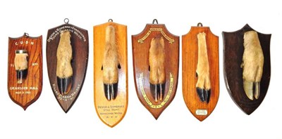 Lot 2334 - Taxidermy: Six Various Mounted Red Deer Slots, circa early - mid 20th century, six various Red Deer