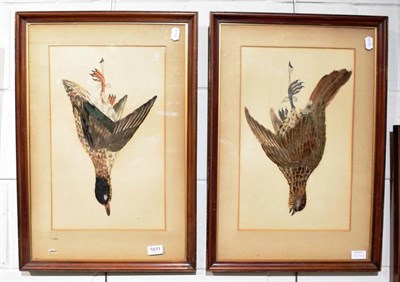 Lot 1011 - Pair of feathered bird pictures of dead game, framed