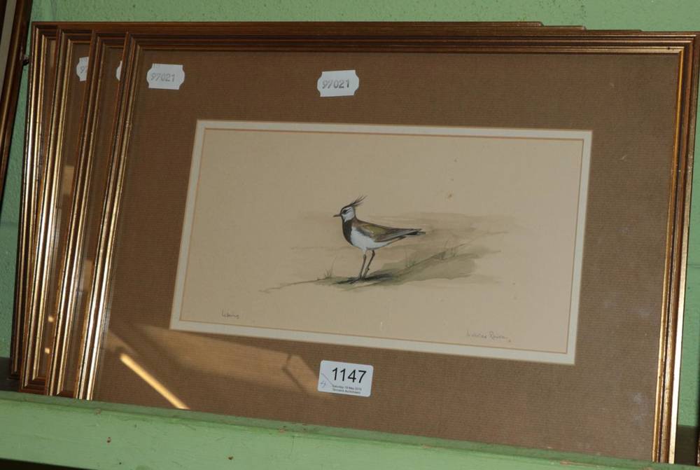 Lot 1147 - Nicholas Raison (20th century) 'Lapwing', 'Curlew', 'Oyster Catcher' and 'Avocet', signed,...