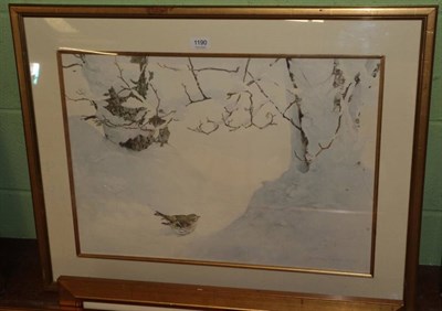 Lot 1190 - Jonathan Sainsbury (b.1951) Thrush in Snow, signed and dated (19)94, watercolour, 45cm by 63cm