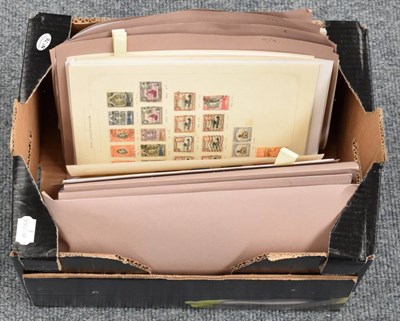 Lot 33 - Large Collection of All World on leaves sorted by country and area into 10 folders in a...