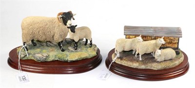 Lot 130 - Two Border Fine Arts limited edition models ''Swaledale Ewe and Lamb'', 733/12550 and ''Autumn...