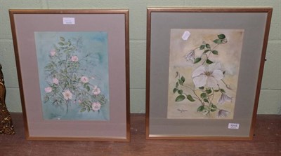 Lot 1015 - Patricia Dyson (20th century) Clematis, signed and dated (19)81, watercolour and pen; together with
