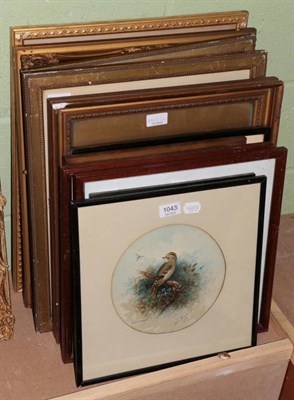 Lot 1043 - John Duncan (20th century), A collection of watercolour studies of birds; together with a 19th...