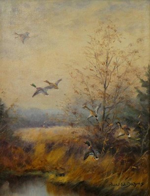Lot 1045 - Paul Dahms (20th century) German, Ducks in flight, signed oil on canvas, 38.5cm by 29.5cm