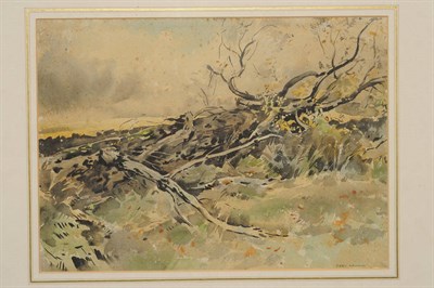 Lot 819 - Frederick (Fred) Lawson (1888-1968) Study of a Yorkshire Hedgerow Signed, pencil and...