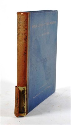 Lot 169 - Emerson, P.H. Wild Life on Tidal Water. Sampson, Low, Marston, Searle and Livington Ltd., 1890....