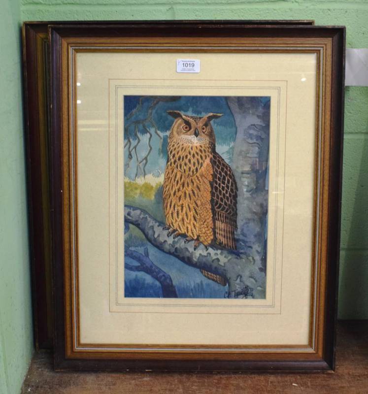 Lot 1019 - Follower of C F Tunnicliffe, an osprey with a fish and an owl on a branch, bears signature,...