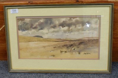 Lot 1044 - John Sibson, Moorland scene, signed, watercolour, 49cm by 32cm