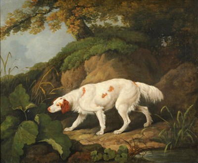 Lot 934 - James Barenger (1780-1831) Irish Setter in a Wooded Landscape Signed and dated 1806, oil on canvas