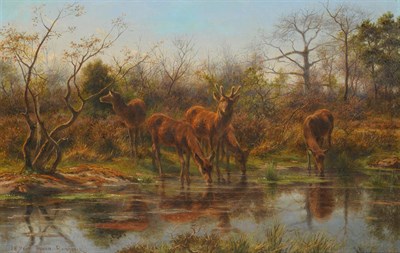 Lot 938 - Attributed to Rosa Bonheur (1822-1899) French Deer drinking beside a Pond Bears a signature and...