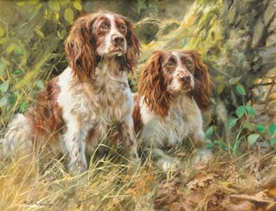 Lot 941 - Mick Cawston (1959-2006) "Conference", study of two spaniels in a wooded landscape Signed,...