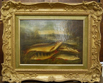 Lot 942 - Circle of Stephen Taylor (19th century) Still Life of Fish on a River Bank Oil on canvas, 26cm...