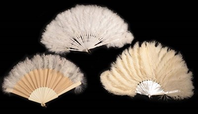 Lot 2057 - The Family Fans: A Box Containing Three Fans, a black feather boa with silk tassels, and...