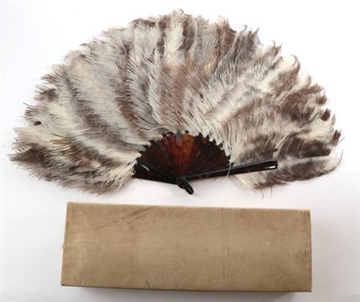Lot 2058 - A Circa 1900 Female Ostrich Feather Fan, the feathers mottled in brown and soft cream, mounted...