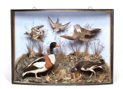 Lot 333 - Taxidermy: A Large Cased Diorama of Wading and Estuary Birds, circa 1900, by John Cooper & Sons, 28