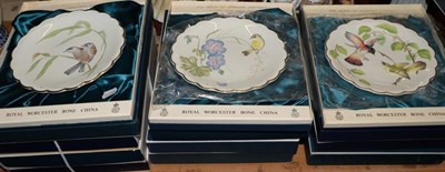 Lot 360 - Royal Worcester limited edition hand-painted dessert plates ''The Birds of Dorothy Doughty'' (11)