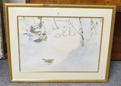 Lot 1066 - Jonathan Sainsbury (b.1951) Thrush in Snow, signed and dated (19)94, watercolour, 45cm by 63cm