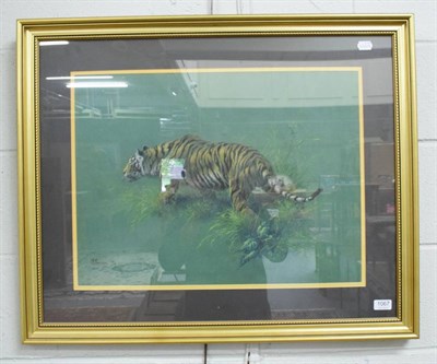 Lot 1067 - Stephen Pearson (20th century), Prowling Tiger, signed and dated (19)74, pastel, 45cm by 60cm