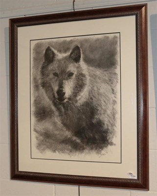 Lot 1094 - John Black (b.1959), Study of a wolf, monogrammed, charcoal, 72.5cm by 54.5cm