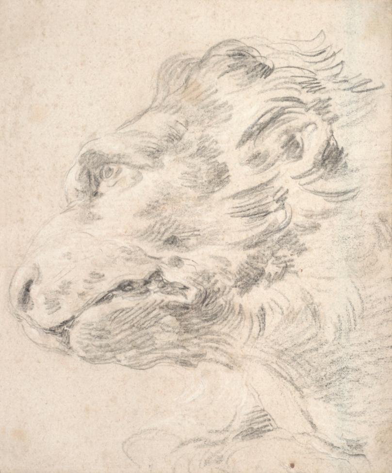 Lot 227 - Attributed to Giovanni Battista Tiepolo (1696-1770) Italian Study of a Lion's head Chalk...
