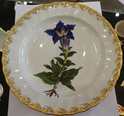 Lot 527 - A Derby Porcelain Botanical Plate, circa 1790, painted with Gentiana Acaulis Large Flower...