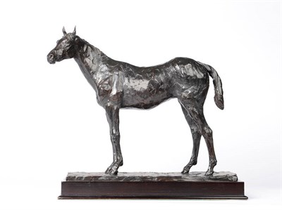 Lot 1184 - Philip Blacker (b.1949): Study of a Racehorse, standing and turning its head to the left, on a...