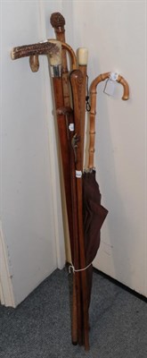 Lot 233 - Rosewood walking cane with applied metal lizard, other canes and paragon fox umbrellas