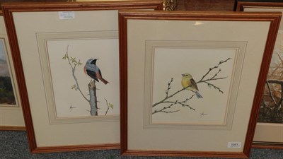 Lot 1051 - Anne Hopkinson (20th century), Redstart, signed, gouache, together with Yellowhammer, a further...