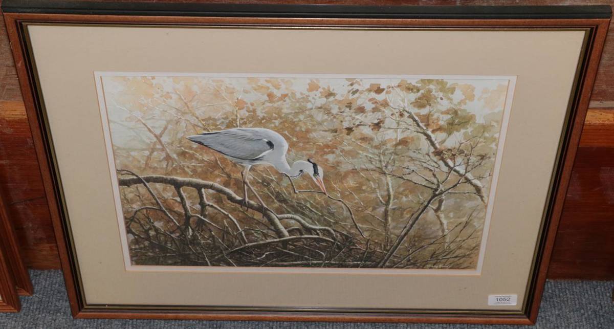 Lot 1052 - Hilary Burn (b.1946), Heron in trees, signed, gouache, 31.5cm by 45.5cm