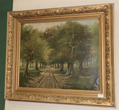 Lot 1064 - ^ French School, 20th century, Tree-lined avenue, oil on canvas, 54cm by 67cm