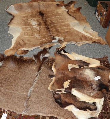 Lot 1109 - Hides/Skins: Four Tanned Animal Hides, circa late 20th century, to include - Cape Greater Kudu back