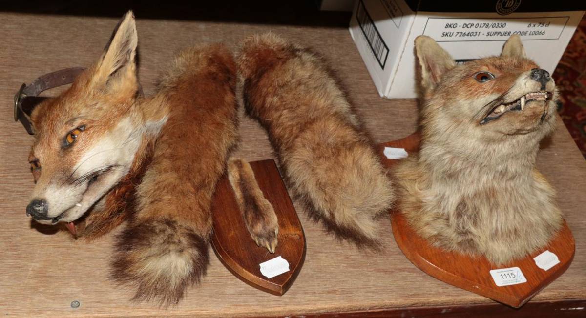 Lot 1115 - ^ F.E Potter, a taxidermy specimen of a fox, full head mount with oak shield; a taxidermy...