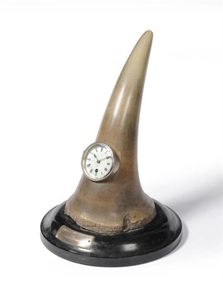 Lot 1262 - Black Rhinoceros (Diceros bicornis), 1880, anterior horn with watch mount inset, on original...