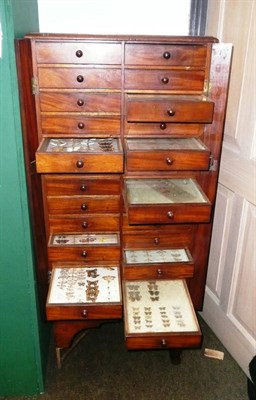 Lot 1263 - A Late Victorian Mahogany Moth Collector's Cabinet, as a Wellington chest, with hinged stiles...