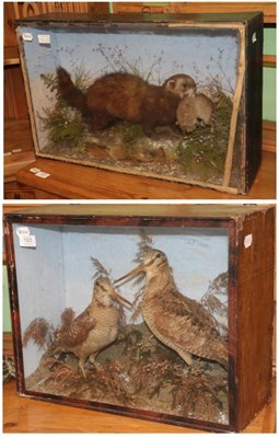 Lot 1323 - Taxidermy: A Cased pair of European Woodcock (Scolopax rusticola), circa 1870, a pair of full mount