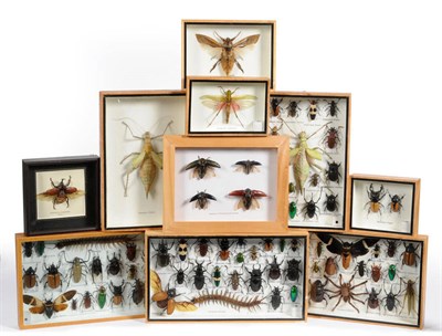 Lot 1265 - A Collection of Mounted Insects, 20th century, contained in ten glazed wall display frames,...