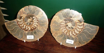 Lot 1273 - Two Split and Polished Ammonite Fossils, 23.6cm and 24cm diameter