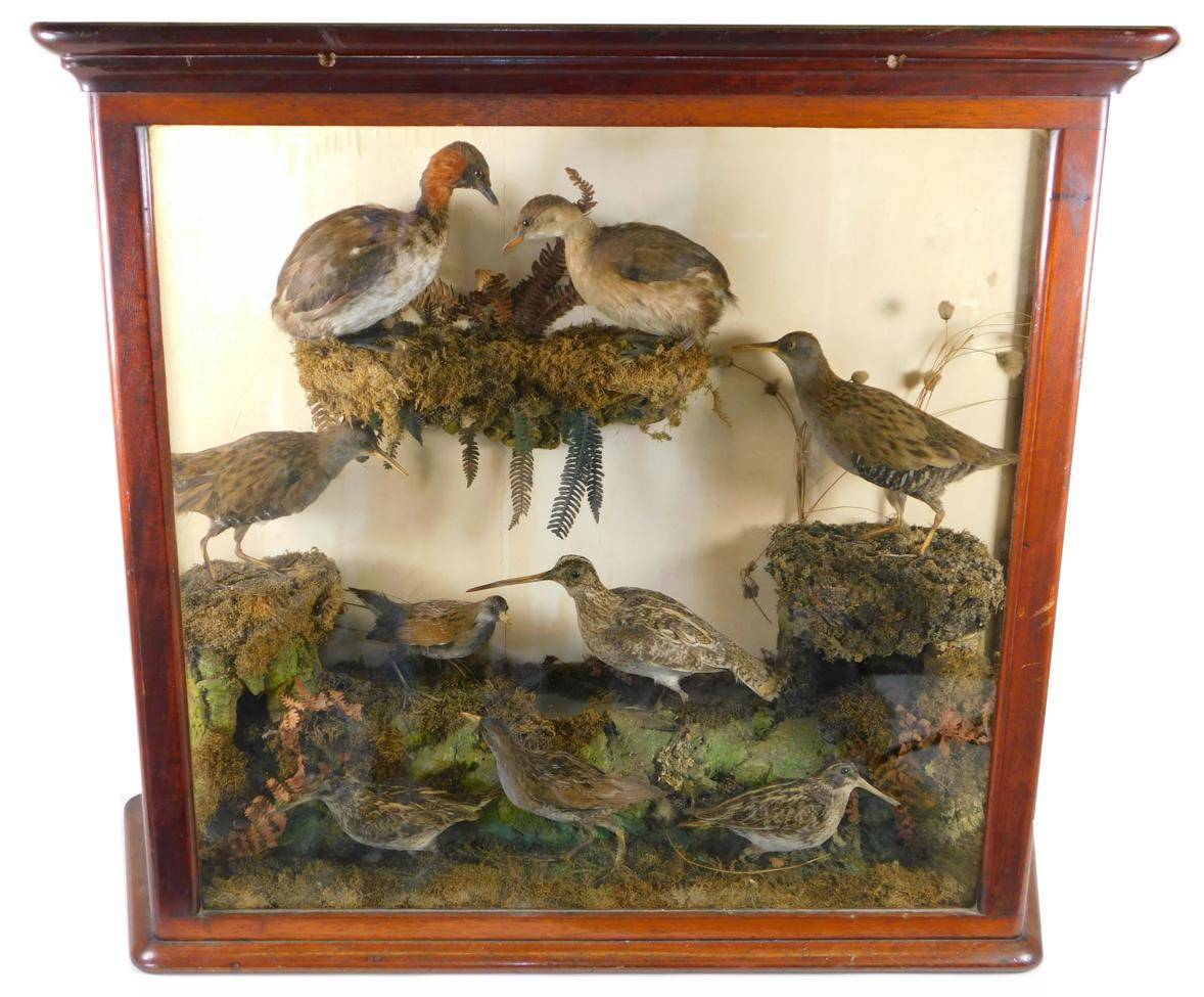 Lot 13 - Taxidermy: A Late Victorian Cased Diorama of British Birds, circa 1880-1900, a diorama of nine...