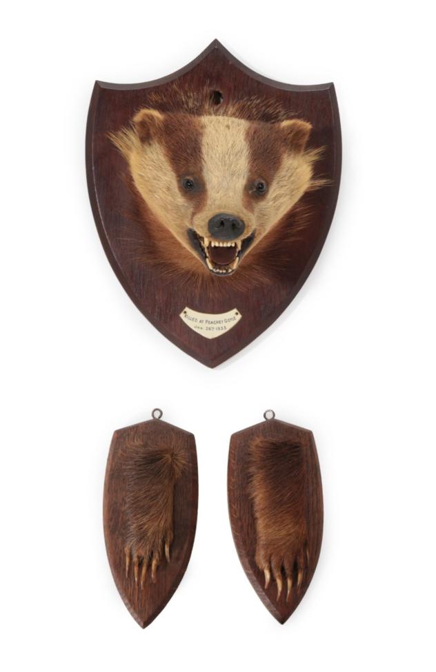 Lot 29 - Taxidermy: An Early 20th Century Badger Mask (Meles meles), circa Jan 26th 1933, a large Badger...