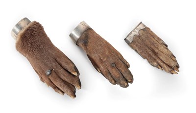 Lot 31 - Taxidermy: Antique Eurasian Otter Paws (Lutra lutra), circa early 20th century, three various sized