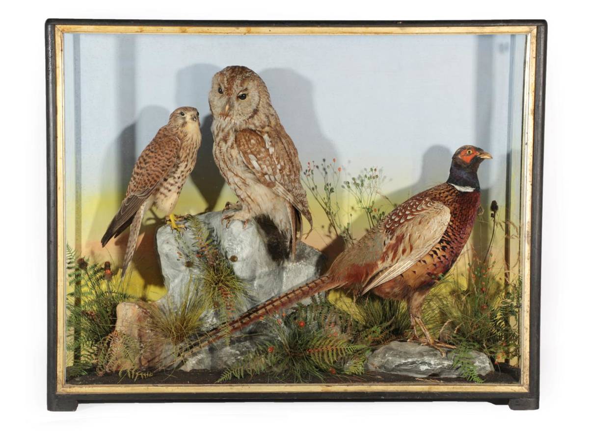Lot 47 - Taxidermy: A Cased Diorama of British Birds, circa 1900, by James Hutchings, Taxidermy,...